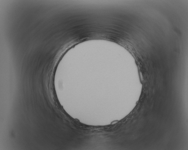 X0000116380289200912291736