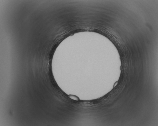 X0000116380320200912291735