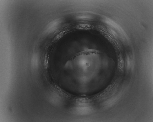 X0000116380324200912291735