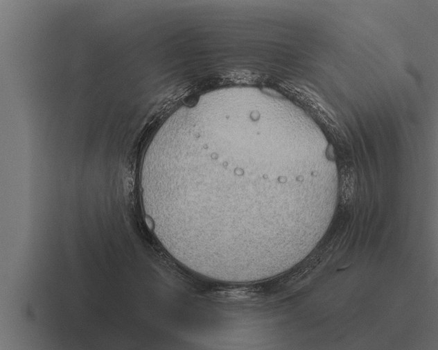 X0000116380365200912291735