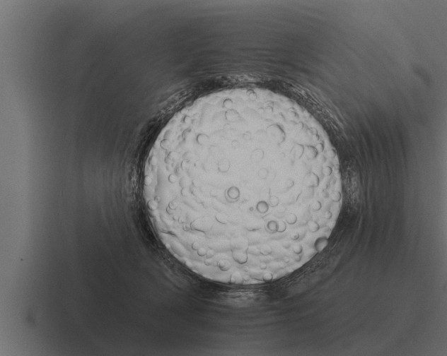 X0000116380418200912291734