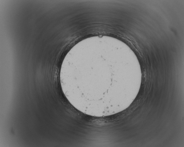 X0000116380423200912291734
