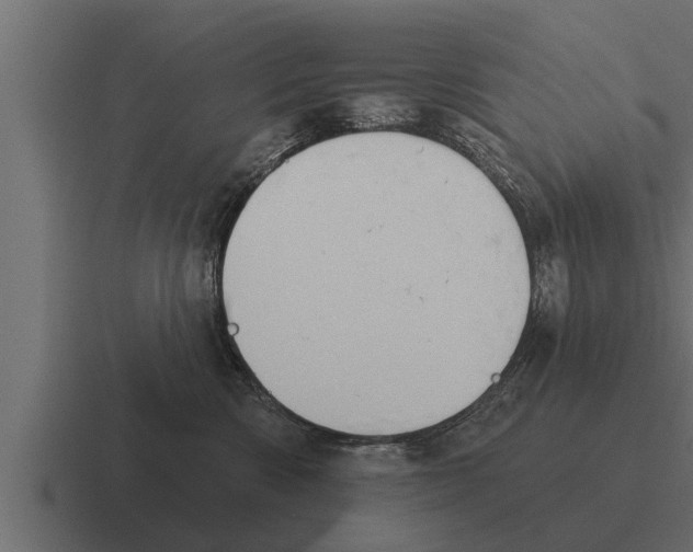 X0000116380426200912291734