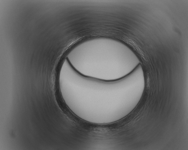 X0000116380444200912291733