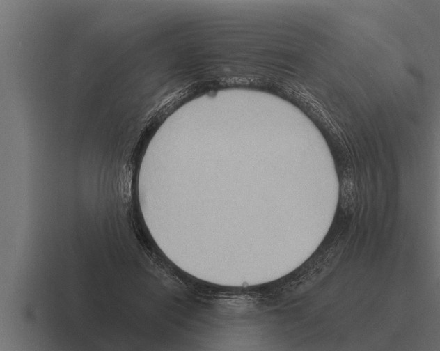 X0000116380454200912291733