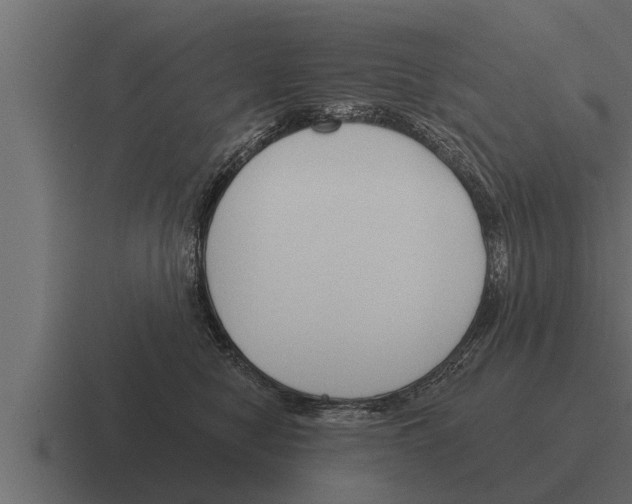 X0000116380470200912291734
