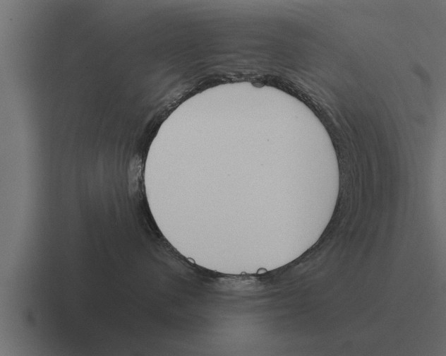 X0000116380480200912291734