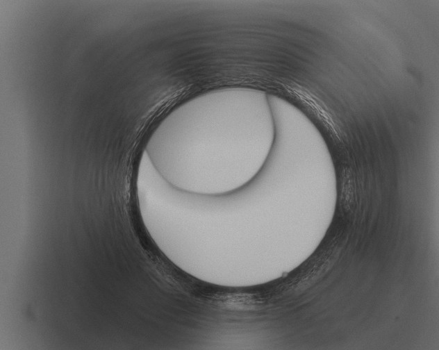 X0000116380501200912291733