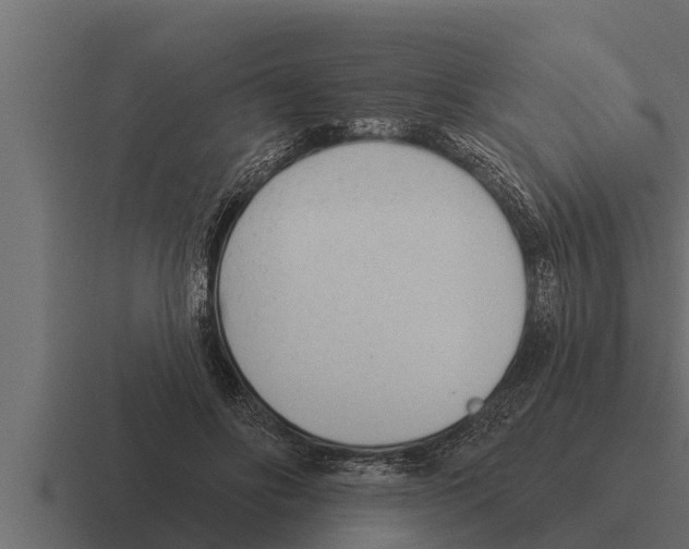 X0000116380502200912291733