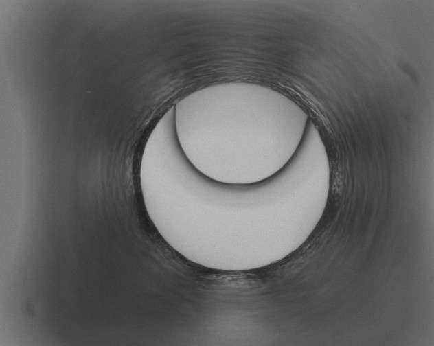 X0000116380524200912291733