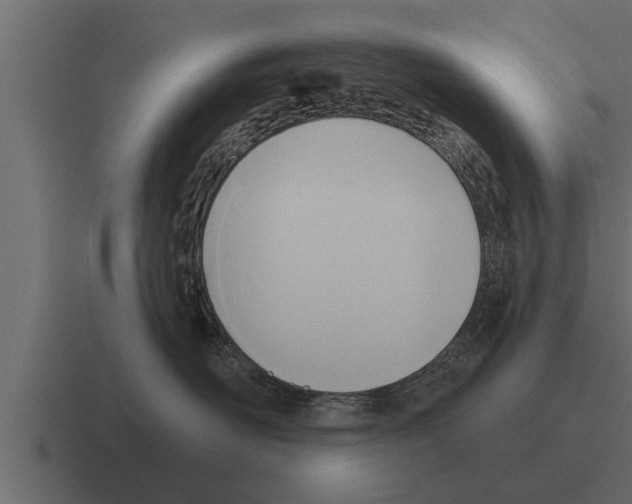 X0000116380526200912291733