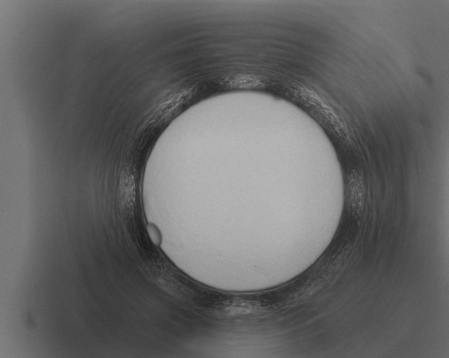 X0000116380549200912291732