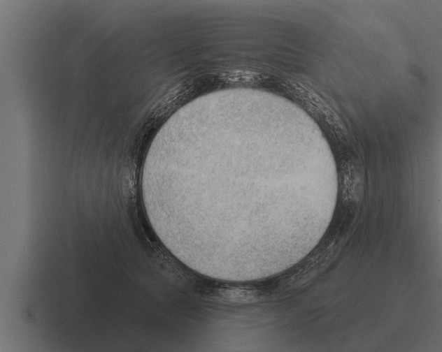 X0000116380561200912291732