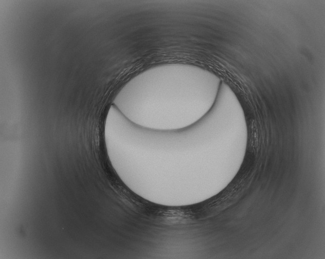 X0000116380562200912291732