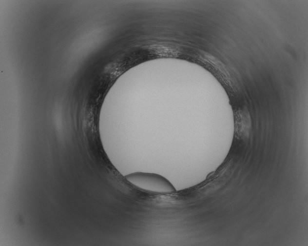X0000116380573200912291732