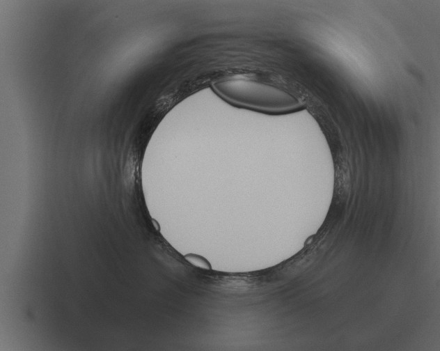 X0000116380574200912291732