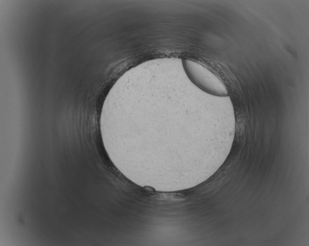 X0000116380623200912291731