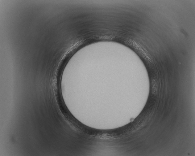 X0000116380634200912291731