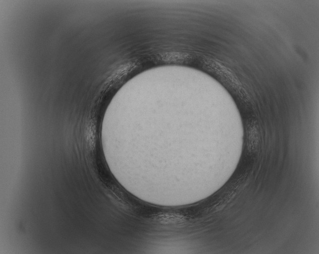 X0000116380644200912291731