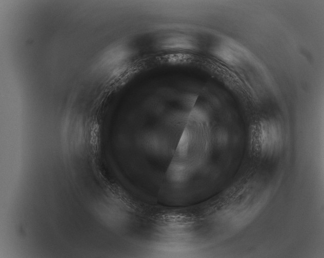 X0000116380650200912291731