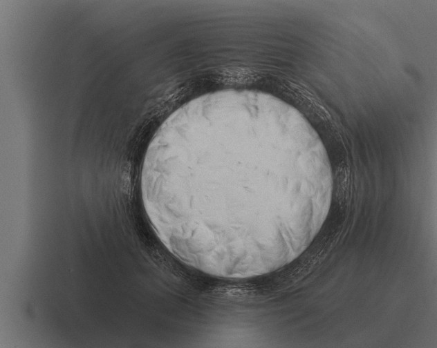 X0000116380655200912291731