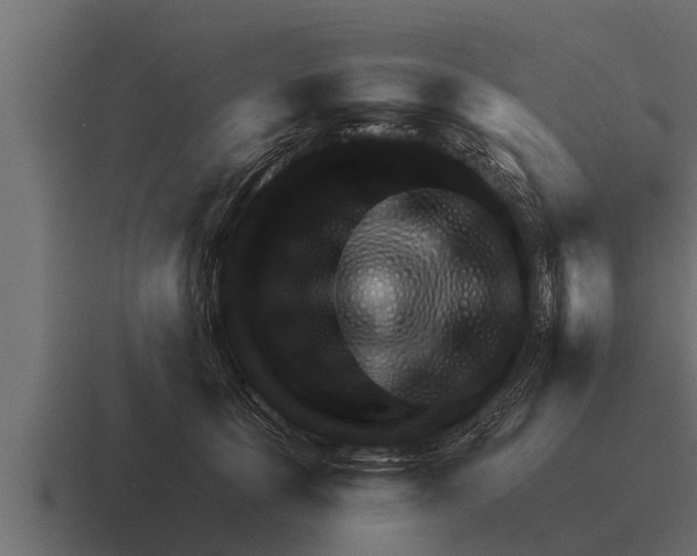 X0000116380657200912291731