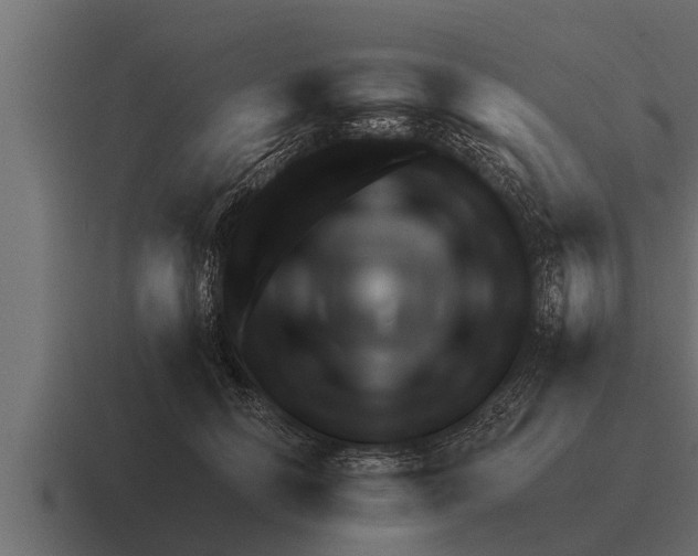 X0000116380658200912291731
