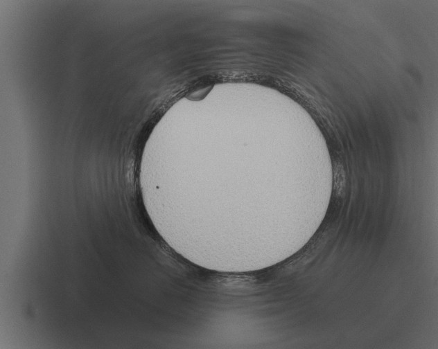 X0000116380670200912291731