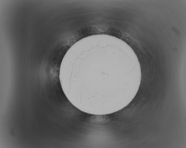 X0000116380672200912291731