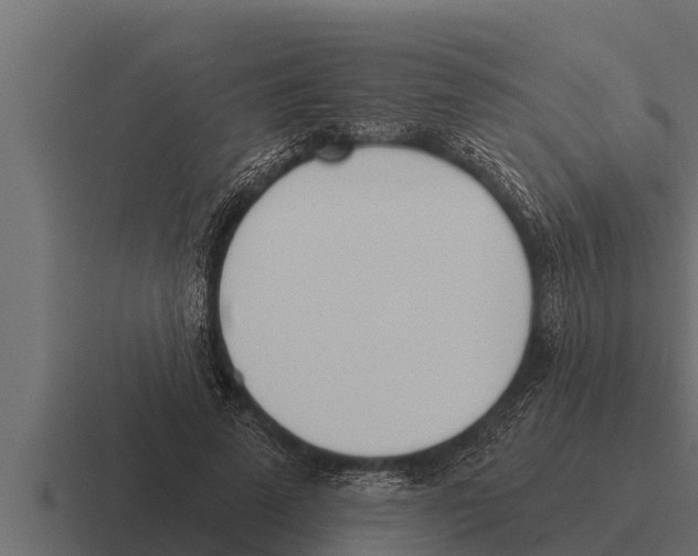 X0000116380689200912291730