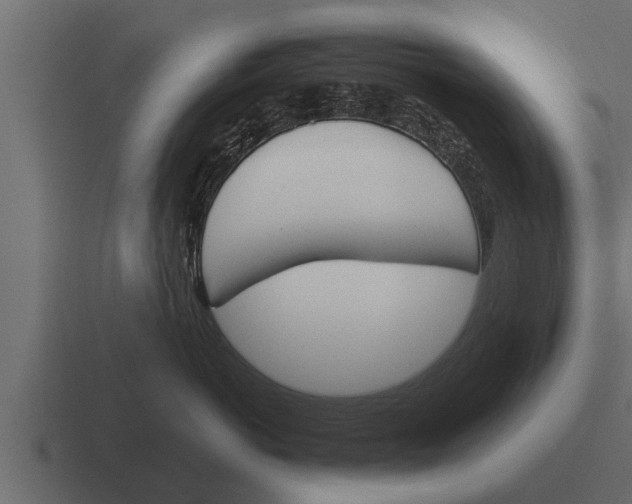 X0000116380766200912291730