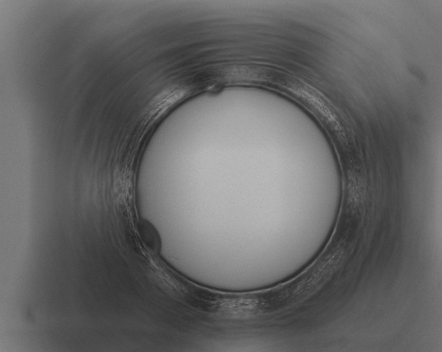 X0000116380793200912291729
