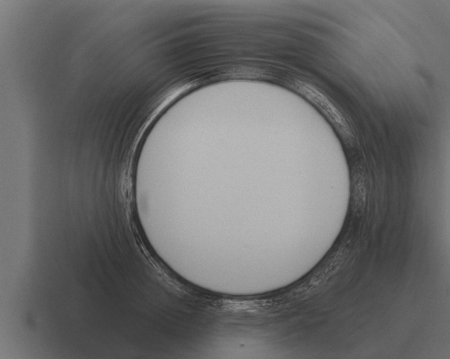 X0000116380852200912291729