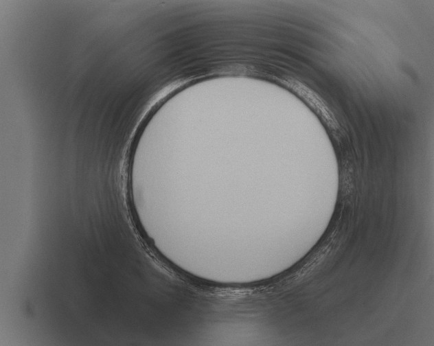 X0000116380854200912291729