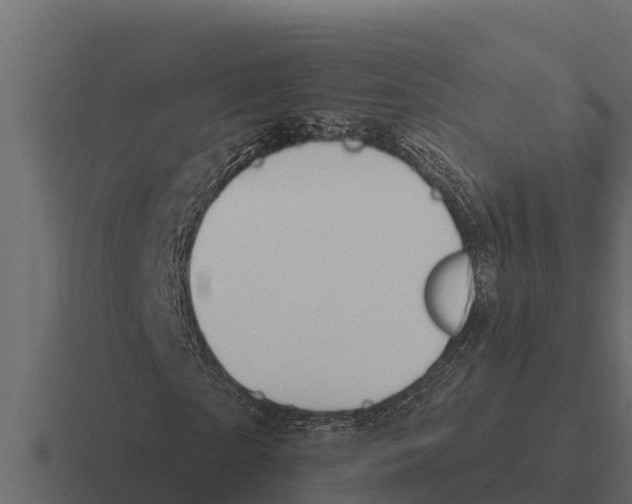 X0000116380865200912291728
