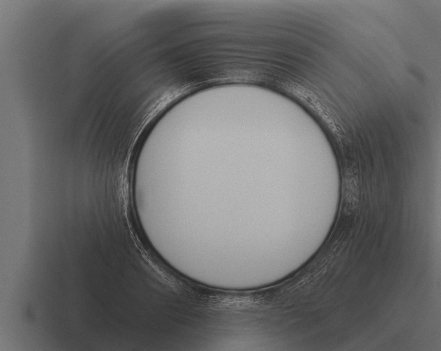 X0000116380890200912291728
