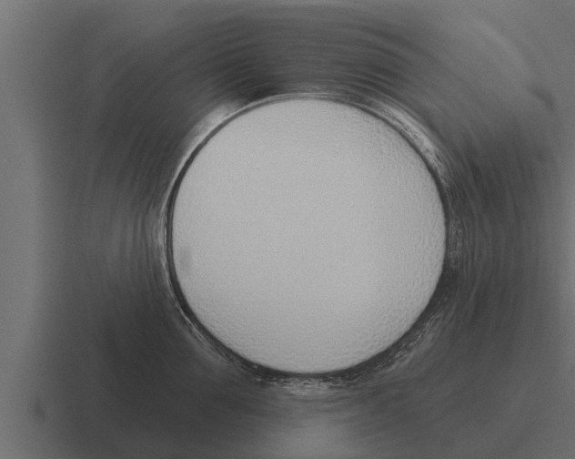 X0000116380907200912291728