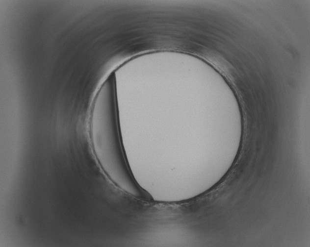 X0000116380912200912291728