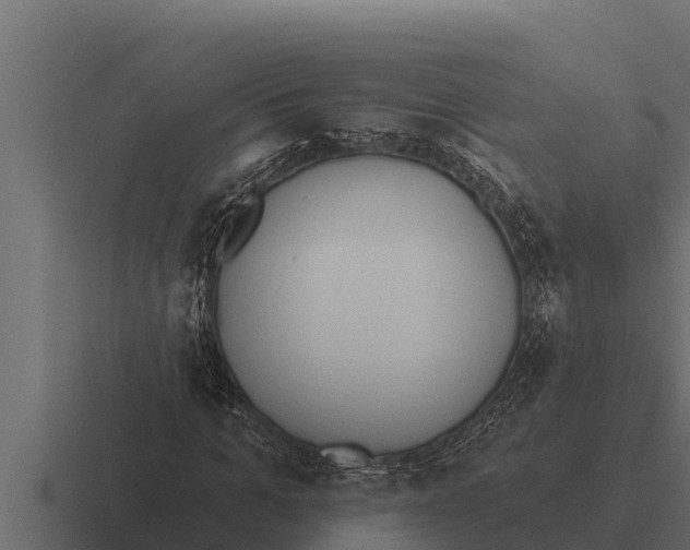 X0000116380965200912291727