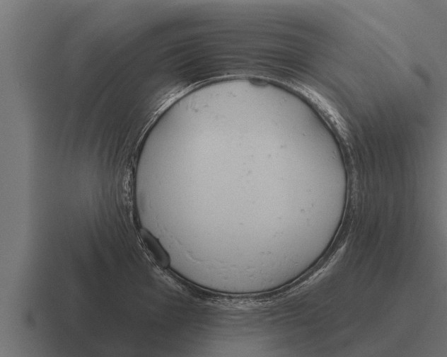 X0000116381001200912291727