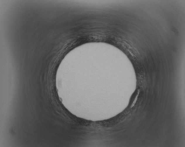 X0000116381009200912291726