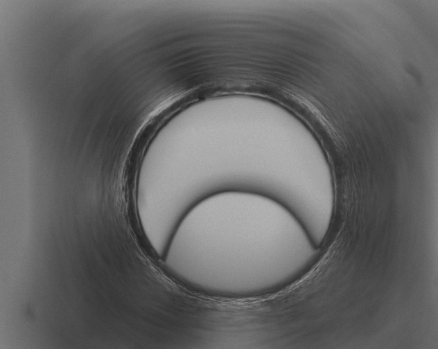 X0000116381018200912291726