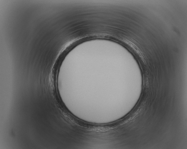 X0000116381022200912291726