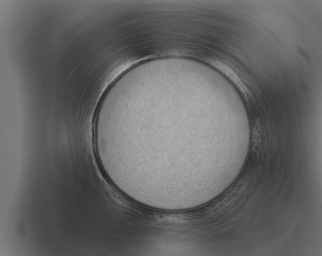 X0000116381047200912291726