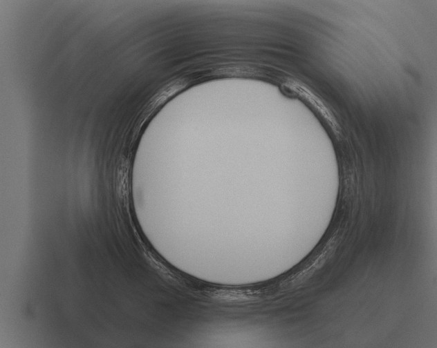 X0000116381049200912291726