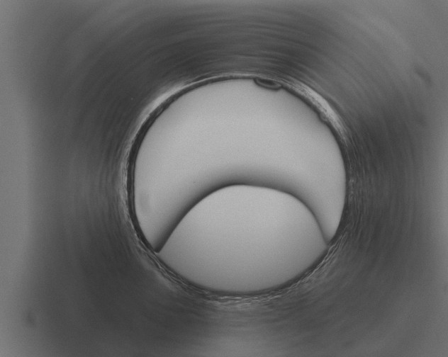 X0000116381051200912291726
