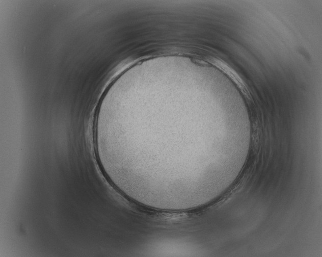 X0000116381055200912291726