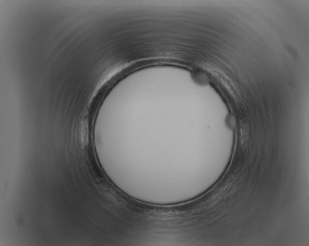 X0000116381069200912291726