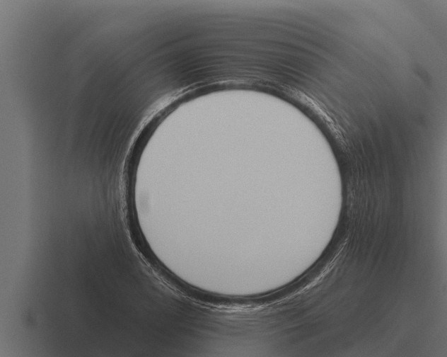 X0000116381122200912291725