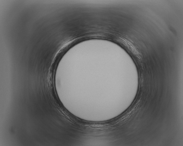 X0000116381164200912291724